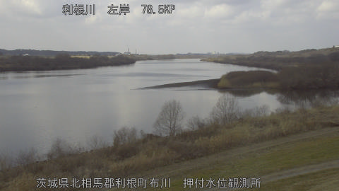 tonos2026021813_image