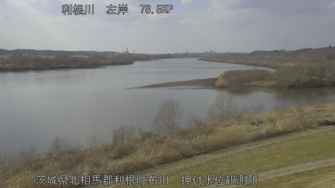 tonos2026021814_image