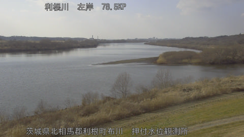 tonos2026021815_image