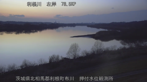 tonos2026021818_image