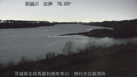 tonos2026021901_image