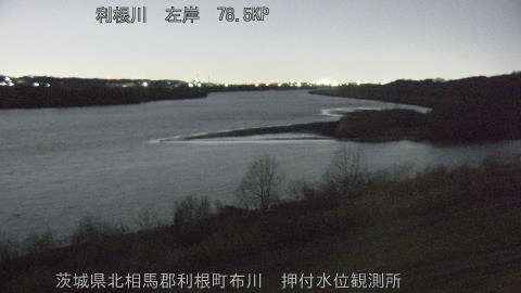 tonos2026021902_image