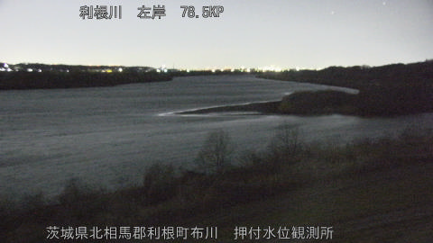 tonos2026021905_image