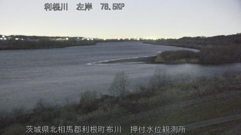 tonos2026021906_image