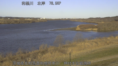 tonos2026021908_image