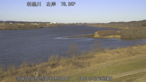 tonos2026021909_image