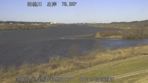 tonos2026021910_image