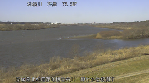 tonos2026021912_image