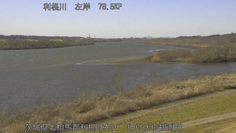 tonos2026021914_image