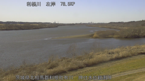 tonos2026021915_image