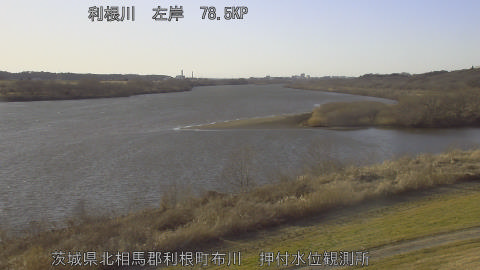 tonos2026021916_image