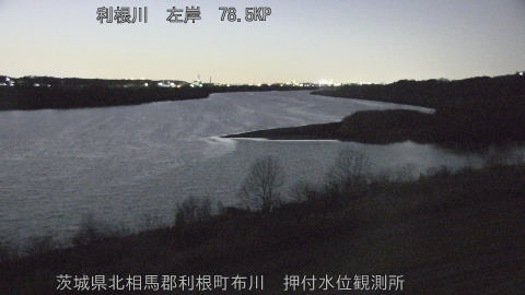 tonos2026021919_image