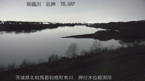 tonos2026021921_image