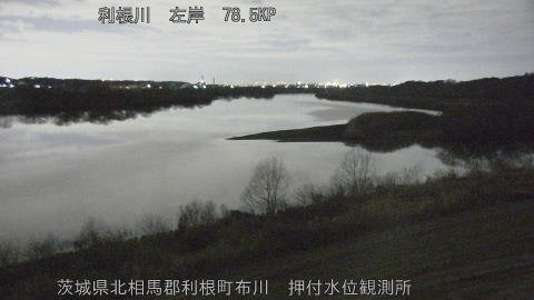 tonos2026022004_image