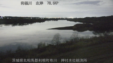 tonos2026022005_image