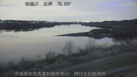 tonos2026022006_image