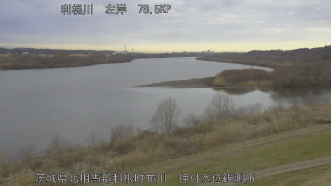 tonos2026022008_image