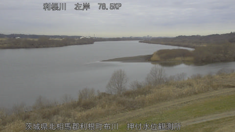 tonos2026022009_image