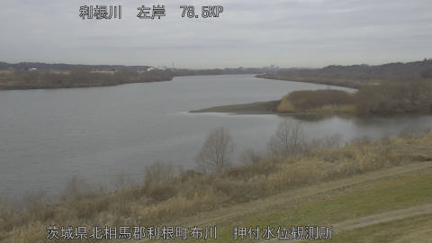 tonos2026022010_image