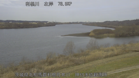 tonos2026022011_image