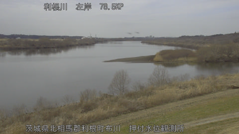 tonos2026022012_image