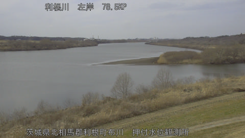 tonos2026022013_image