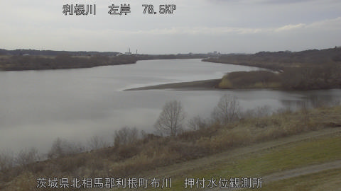 tonos2026022016_image