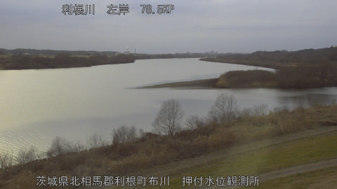 tonos2026022017_image