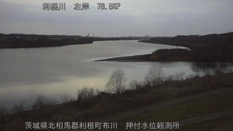 tonos2026022018_image