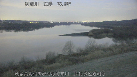 tonos2026022106_image