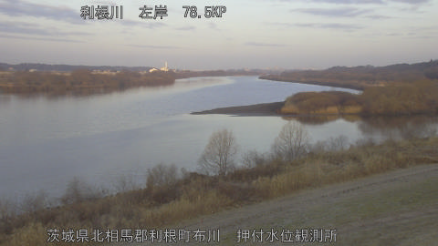 tonos2026022107_image