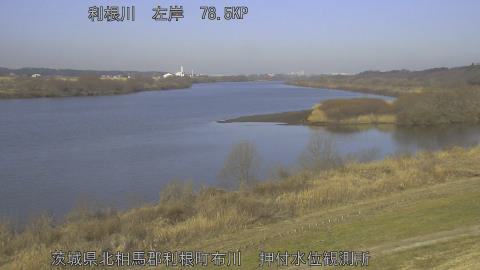 tonos2026022109_image