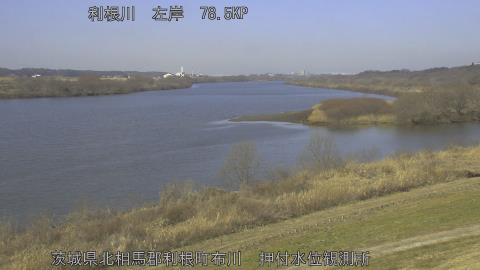 tonos2026022111_image