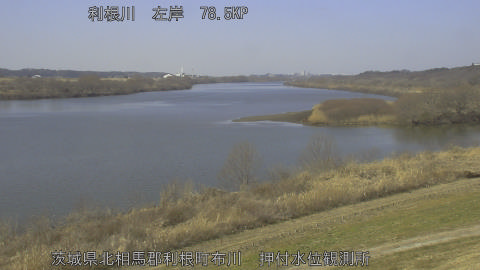 tonos2026022112_image