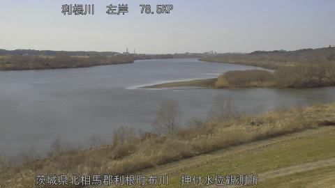 tonos2026022114_image