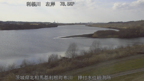 tonos2026022115_image