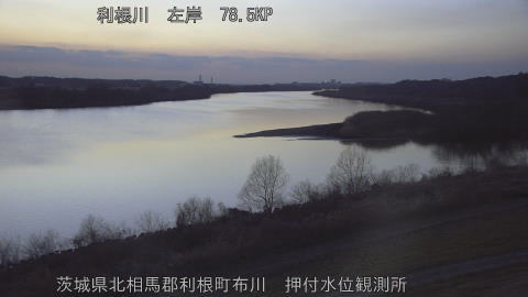 tonos2026022118_image