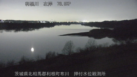 tonos2026022121_image