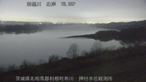 tonos2026022201_image