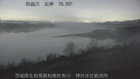 tonos2026022202_image