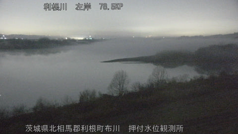 tonos2026022203_image