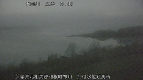 tonos2026022205_image