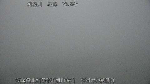 tonos2026022206_image