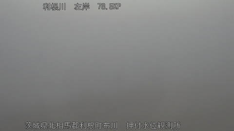 tonos2026022207_image