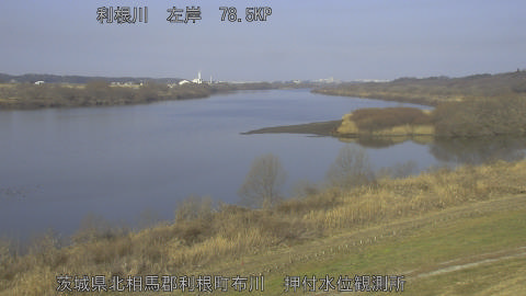 tonos2026022209_image