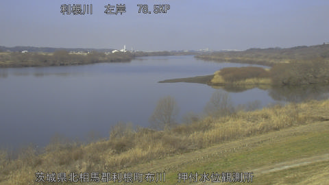 tonos2026022210_image