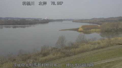 tonos2026022211_image