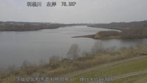 tonos2026022212_image