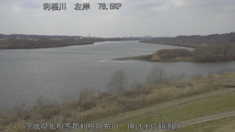 tonos2026022213_image