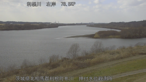 tonos2026022214_image